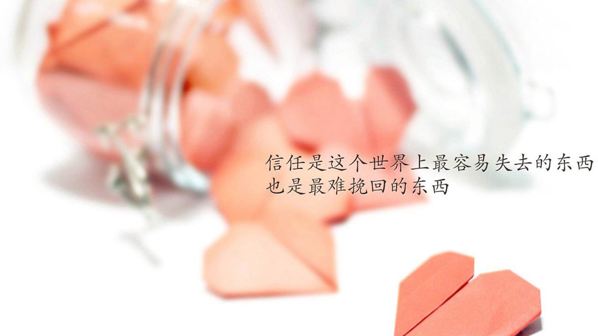 KAIYUN 中国大陆-澳洲队泳姿优雅，技术细腻引发关注，澳洲泳坛少女惊艳